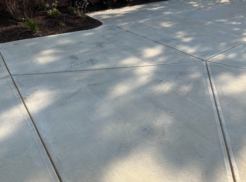 Freshly cleaned concrete surface with crisp shadows from nearby trees